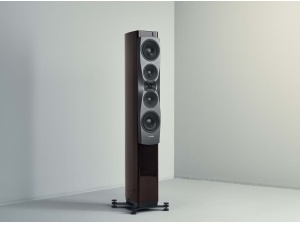 Dynaudio Confidence 50