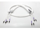 荷兰 Live Cable Xtreme LS-Cable 喇叭线