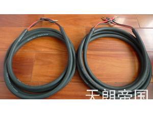 爱因斯坦GREENLINE喇叭线
