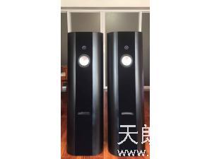 老款瑞宝Ensemble旗舰落地音箱