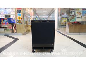 美国Wilson Audio 有源超低音扬声器