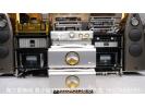 美国大丹Dan D‘Agostino Progression SE特别版分体前级  Progression SE M600单声道后级