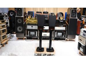 丹拿Dynaudio C1 platinum铂金版 书架箱
