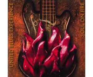 UNITED BLUES EXPERIENCE 联合蓝调体验 心灵怒火 (180克LP黑胶) LP83061