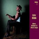 Eric Bibb Feel About You 艾瑞克毕伯 蓝调、民谣、工作之歌（180克33转LP黑胶)   LP22111