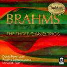JOHANNES BRAHMS: THE THREE PIANO TRIOS 勃拉姆斯 钢琴三重奏    DE3489