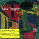 雷格 单簧管与钢琴作品集 SACD    MDG9031963-6