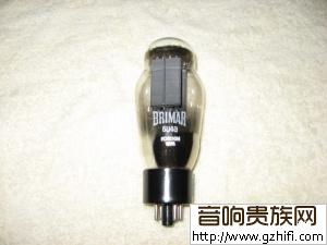 (3)出一只英国宝马5U4G-已出