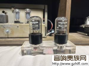 马可尼B65一对