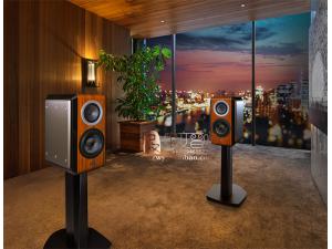 日本TAD CE1-TX书架音箱 hifi同轴音箱