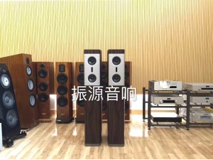 德国 BURMESTER 柏林之声 B50 落地箱