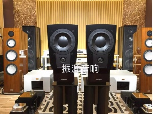 丹麦 丹拿 DYNAUDIO C1 Platinum 铂金版