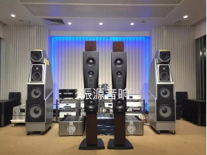 丹麦 DYNAUDIO 丹拿 CONFIDENCE 信心4号 C4 PLATINUM 铂金版