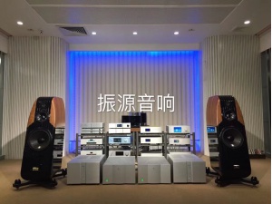 美国 VIOLA 中提琴 LEGACY 旗舰单声道后级